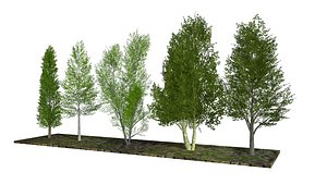 Five low poly trees 2 model
