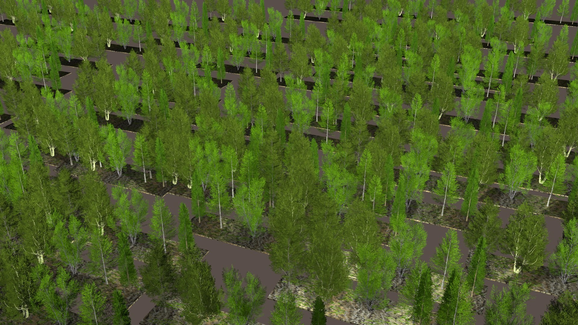 Five low poly trees 2 model https://p.turbosquid.com/ts-thumb/rH/XKwZgI/xG/trees8/jpg/1628247444/1920x1080/fit_q87/38e46e4a303fc8be842cb21950668187a331d036/trees8.jpg