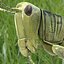Grass Hopper