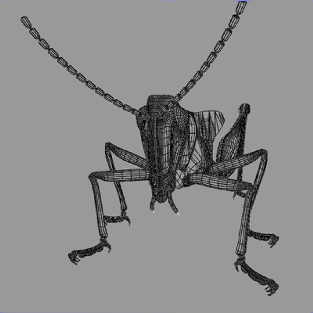 3d model of grass hopper https://p.turbosquid.com/ts-thumb/rH/adu7v8/aQFqjVLu/ihopper10_3/jpg/1423670173/1920x1080/fit_q87/cb41aa5045b3f21a9a2c35a1a36f0230a2286eca/ihopper10_3.jpg