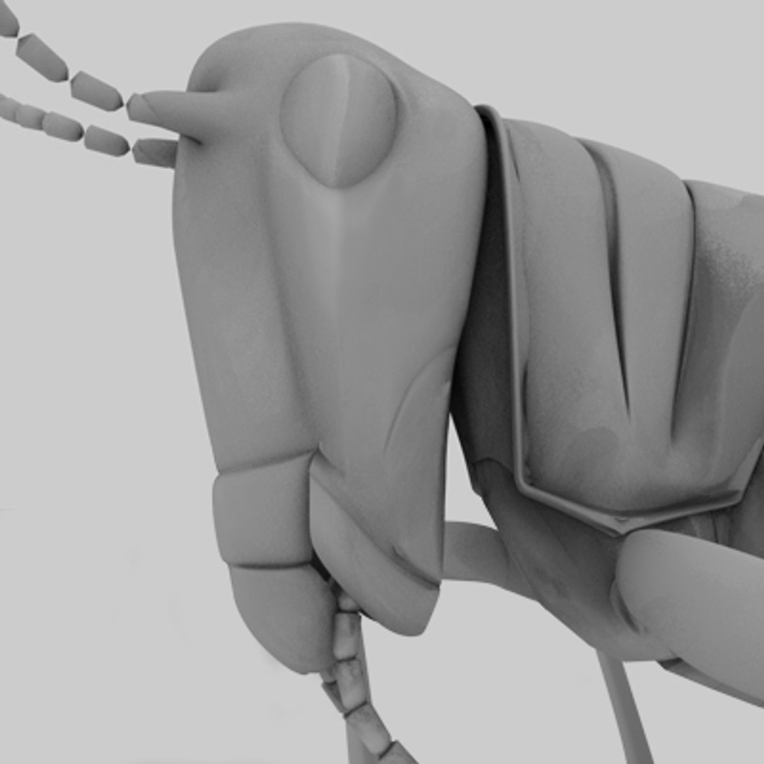 3d model of grass hopper https://p.turbosquid.com/ts-thumb/rH/adu7v8/lwZwMUxK/hopper4_1/jpg/1423670172/1920x1080/fit_q87/27e8db842e1c3ffef76ce6beadcf58b2b6690663/hopper4_1.jpg