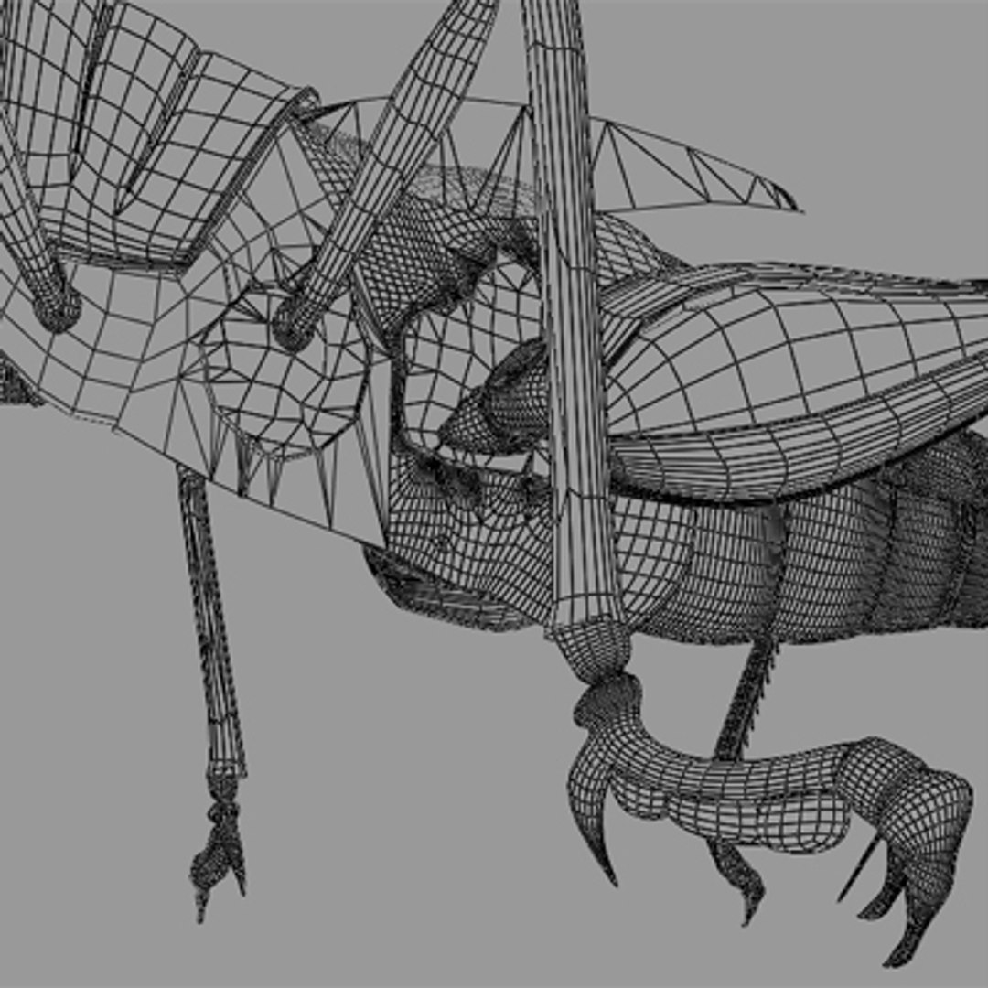 3d model of grass hopper https://p.turbosquid.com/ts-thumb/rH/adu7v8/x0FHWeze/hopper9_2/jpg/1423670173/1920x1080/fit_q87/91757975081a0bed37e72f0b6b5b8d86a61c59e7/hopper9_2.jpg