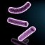 Bacillus bacteria