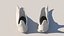 Botas de couro velhas 5