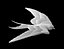 swallow