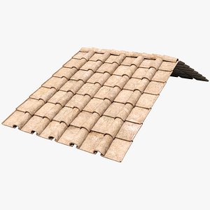 3D Beige Roman Tile Roof