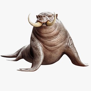 Walrus Seal - Underwater Enemy Creature 3D model