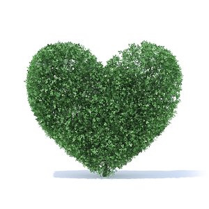 heart shaped shrub 3D model