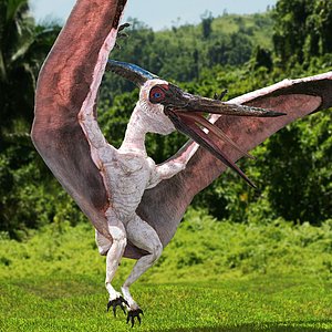pteranodon pterosaur white rigged 3D model
