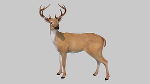deer20220416 3D