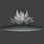 Rainbow Lotus