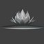 Rainbow Lotus