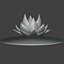 Rainbow Lotus
