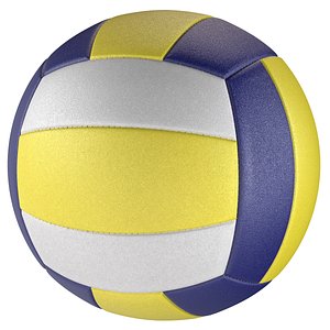 3D Volley ball