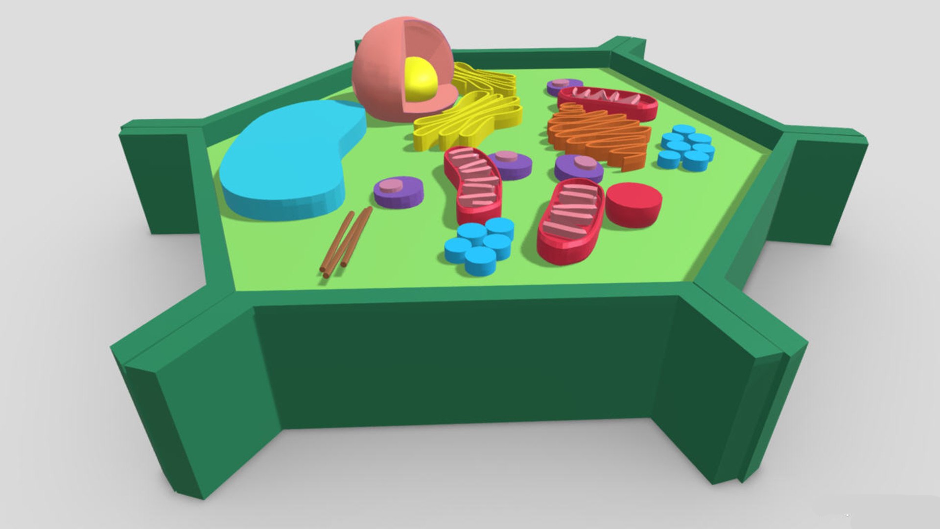 3D Plant Cell Model - TurboSquid 2131328