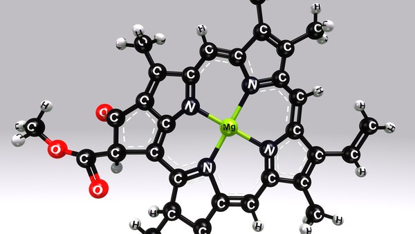 estructura de la clorofila b