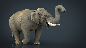 3d asian elephant