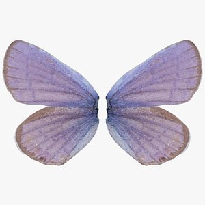 3D Mazarine Blue Polyommatus Icarus Remastered