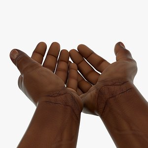 3D Afro American Man Hands Palms Together