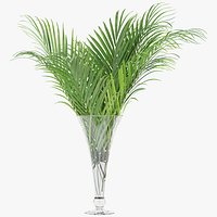 Palm Leaves