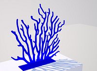 Coral