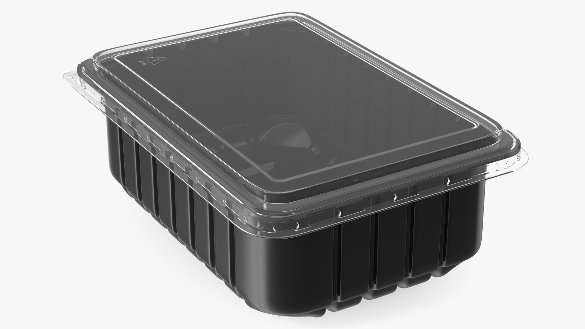 Disposable Plastic Food Tray with Lid 21x15cm 3D model preview