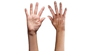 3D 3D Retopologized Hand Scan Isla Cole model