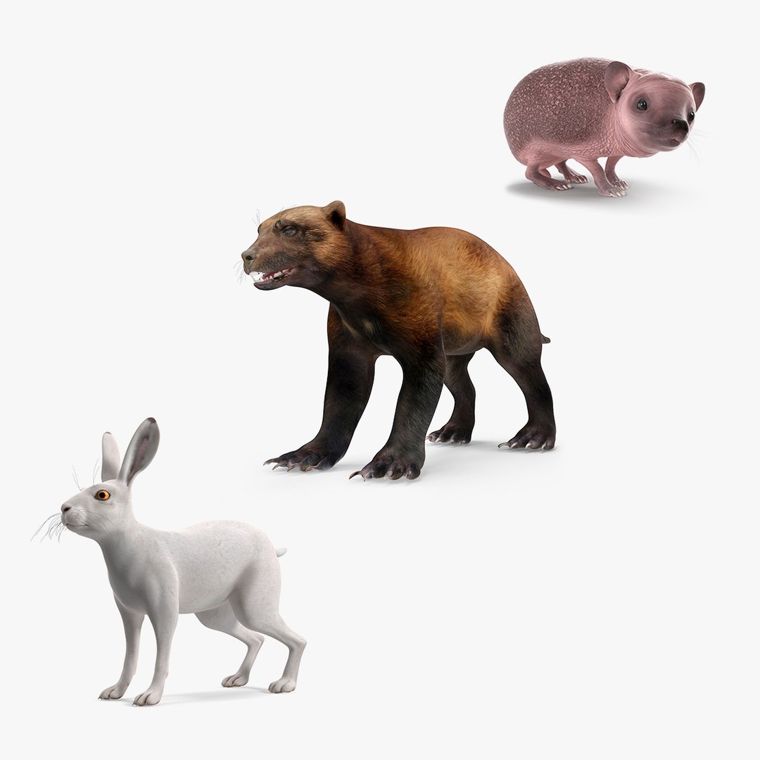 Land Mammals Collection 3D model preview