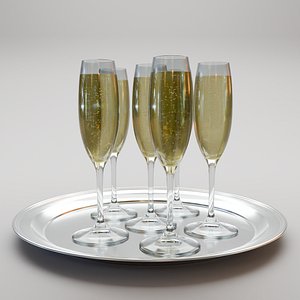 Wine Glass Round Tray 3D