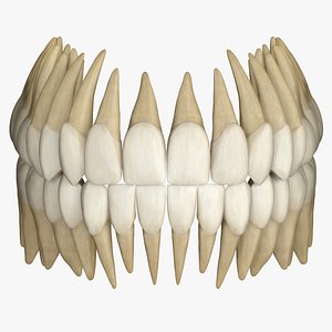 Teeth - Zbrush