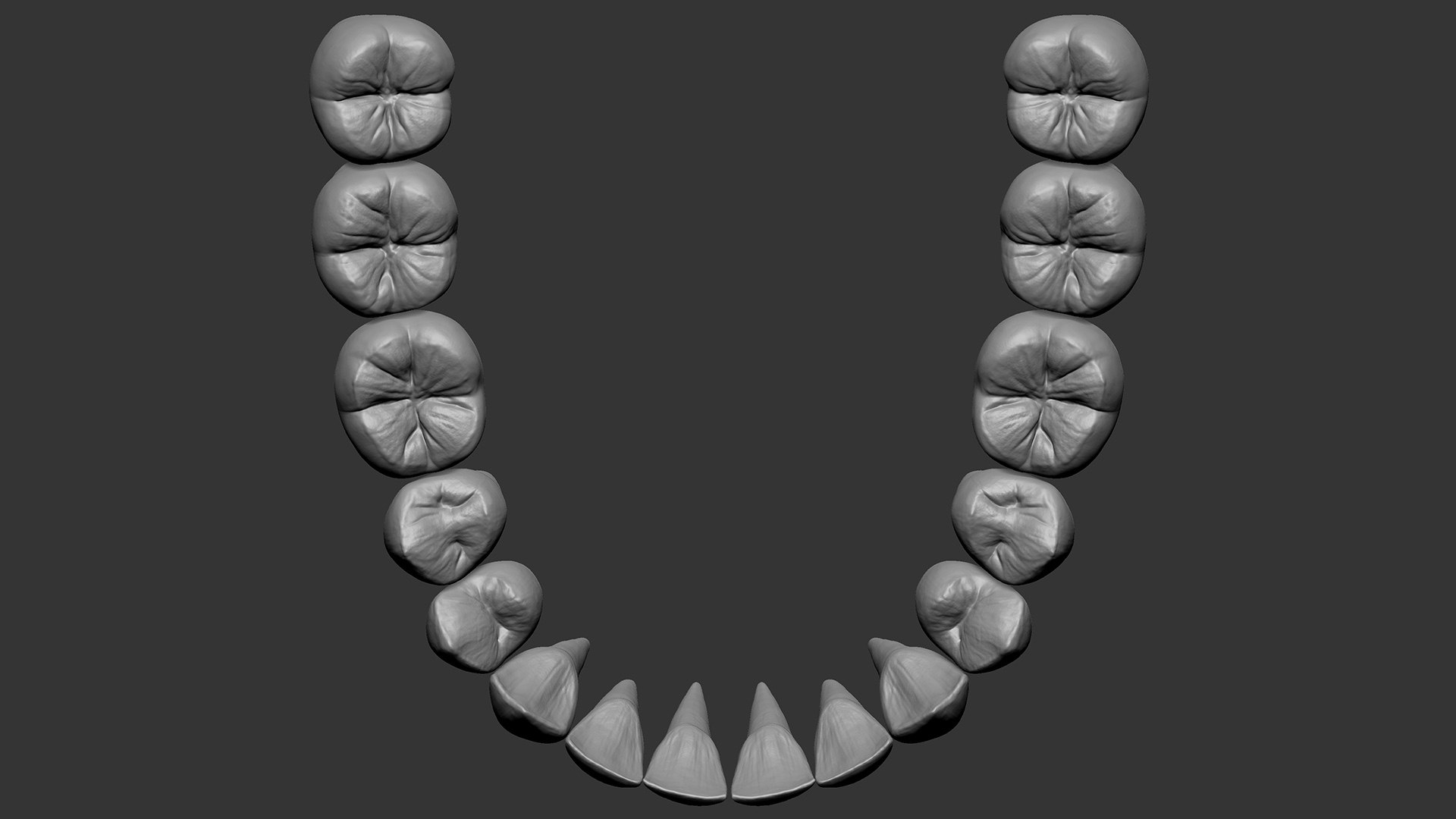 Zbrush Teeth 3D Model TurboSquid 1625452