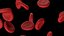 3D Red Blood Cells