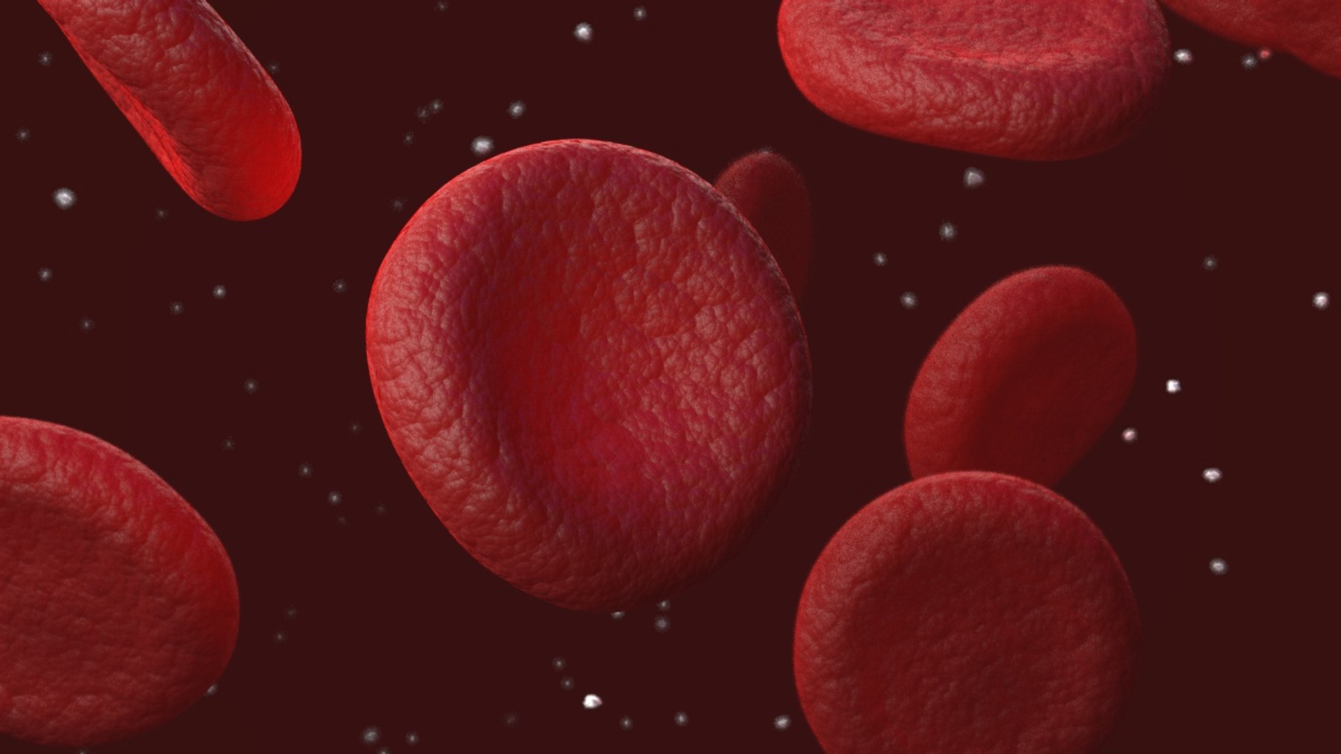 3D red blood cells model https://p.turbosquid.com/ts-thumb/rJ/JcxsBO/ATOq9KO8/3/jpg/1558153547/1920x1080/fit_q87/fb8cd94715bc957f3688a846bb7794eb7b51e5fd/3.jpg