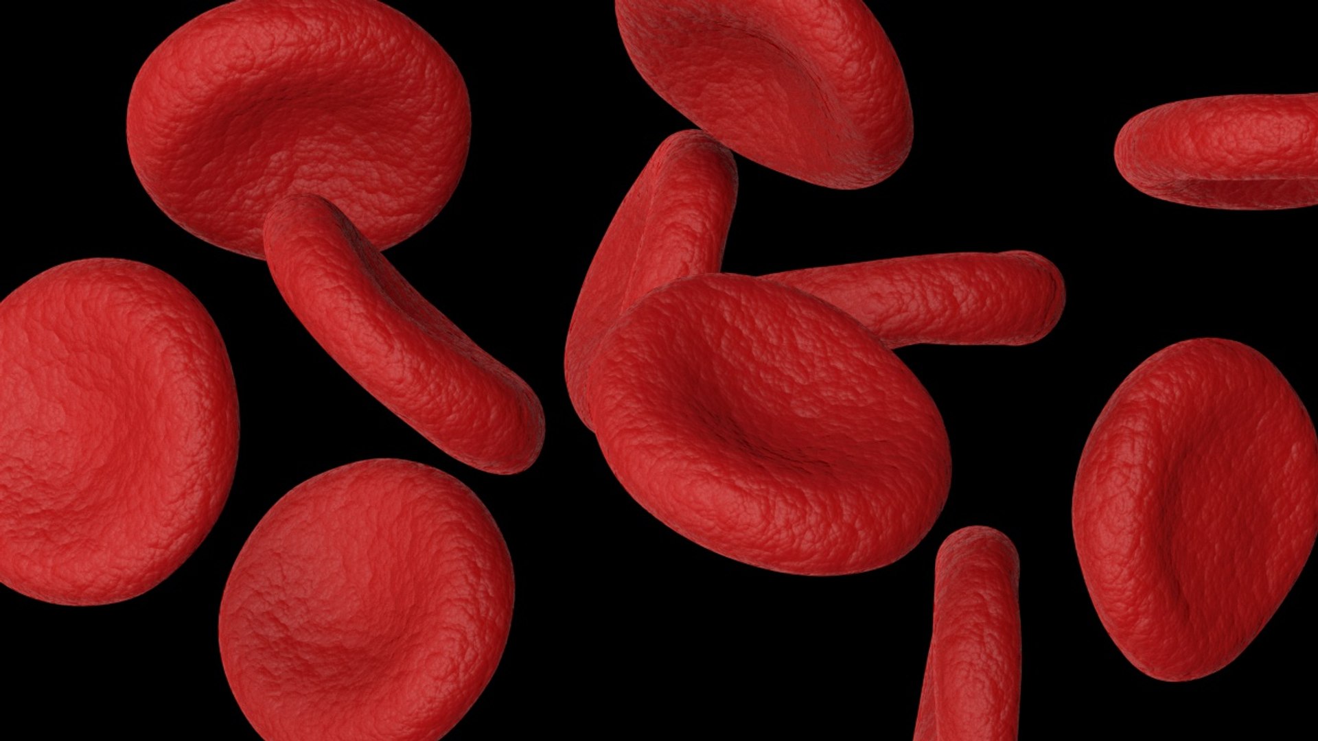3D red blood cells model https://p.turbosquid.com/ts-thumb/rJ/JcxsBO/EmFPC1Rr/13/jpg/1558153580/1920x1080/fit_q87/ad6bc6e9b298cefb59d0b6965aa836d3aa574183/13.jpg