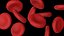 3D Red Blood Cells