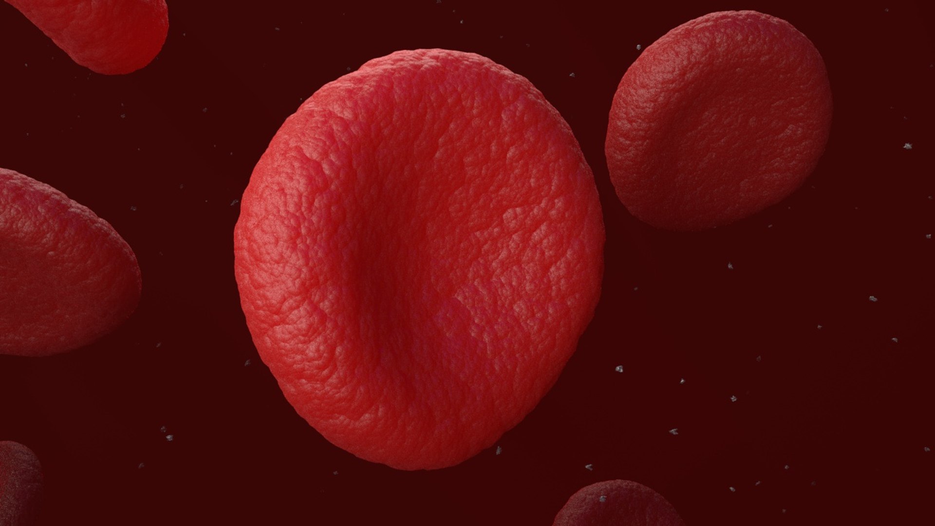 3D red blood cells model https://p.turbosquid.com/ts-thumb/rJ/JcxsBO/ImjOvnFT/24/jpg/1558153612/1920x1080/fit_q87/40e22b1047859ca7db85befd994352efd9af768a/24.jpg