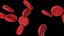 3D Red Blood Cells