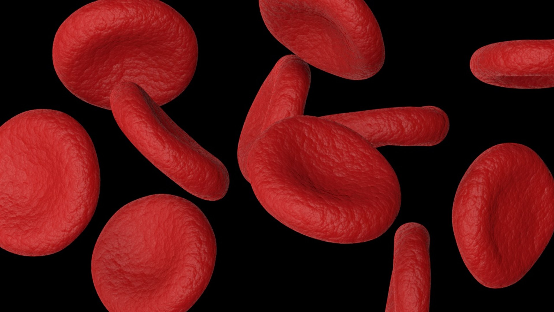 3D red blood cells model https://p.turbosquid.com/ts-thumb/rJ/JcxsBO/PtrFLFb2/14/jpg/1558153580/1920x1080/fit_q87/0fdec5a00aed9170288a9f848577aa095e4c41cc/14.jpg