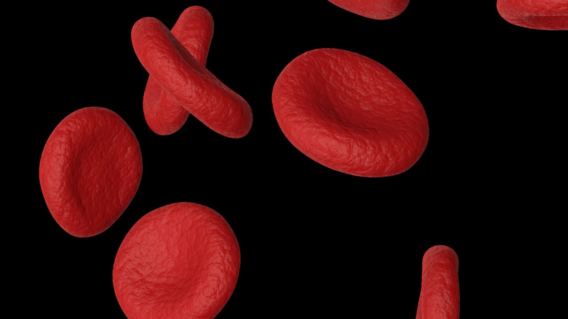 3D red blood cells model https://p.turbosquid.com/ts-thumb/rJ/JcxsBO/Re0ZvQ6R/12/jpg/1558153580/1920x1080/fit_q87/e27263191ed8c011930bc4dbe3cac3c32162bb72/12.jpg