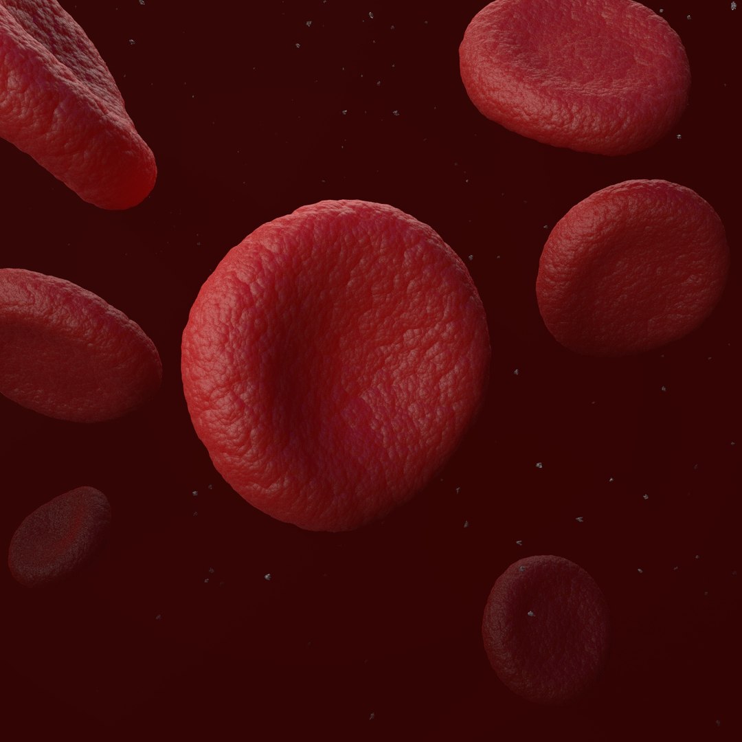 3D red blood cells model https://p.turbosquid.com/ts-thumb/rJ/JcxsBO/ZLfOg2Rj/20/jpg/1558153612/1920x1080/fit_q87/694eee05e25f695ed82e59d3641860a6da1a3064/20.jpg