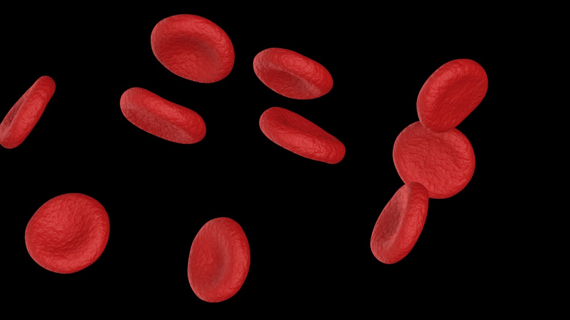 3D red blood cells model https://p.turbosquid.com/ts-thumb/rJ/JcxsBO/cJ7PTqnK/11/jpg/1558153580/1920x1080/fit_q87/2d3316e00f338cadf3413fe4ed18d26fa3a70f0d/11.jpg