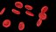 3D Red Blood Cells
