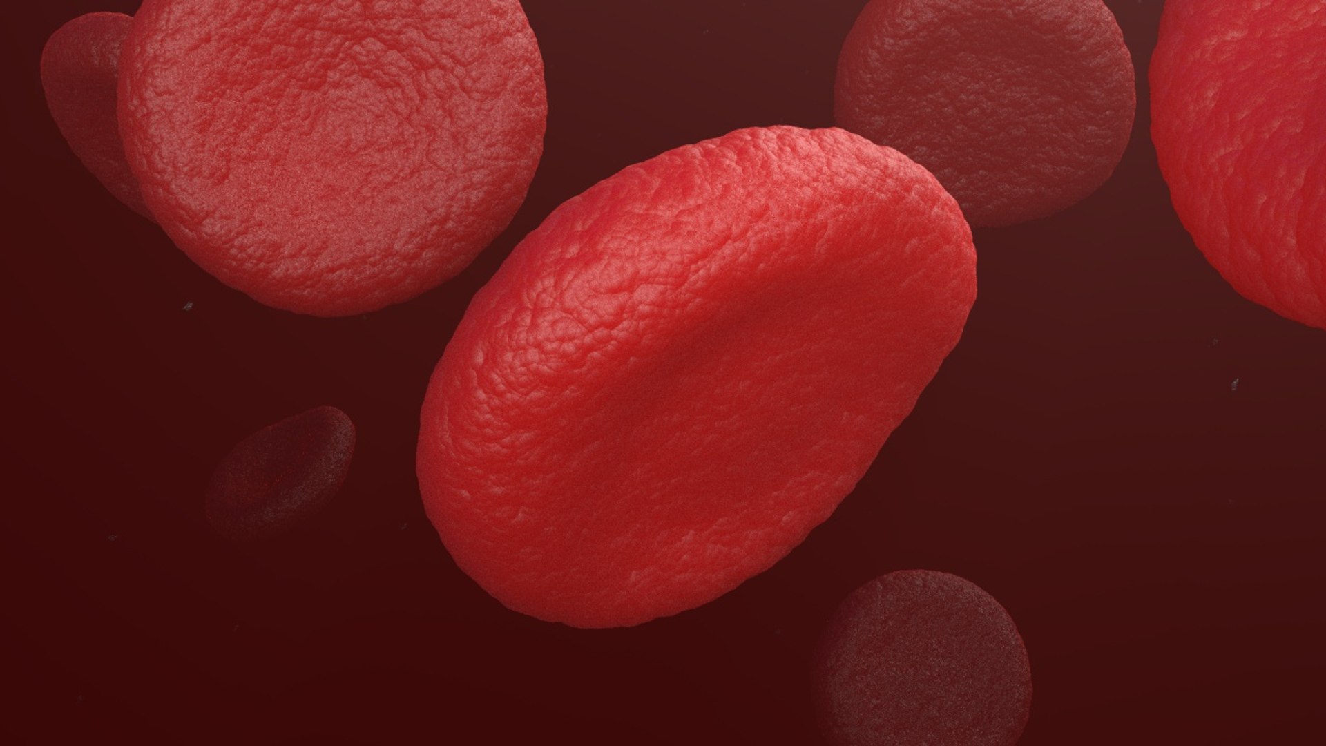 3D red blood cells model https://p.turbosquid.com/ts-thumb/rJ/JcxsBO/lXOXCqTx/22/jpg/1558153612/1920x1080/fit_q87/ec9dd77dd3fd79f051b74813a746d667e427f95b/22.jpg