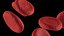 3D Red Blood Cells