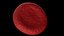 3D Red Blood Cells