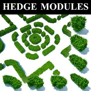 hedge modules max