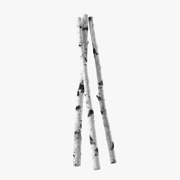 birch branches 3D model