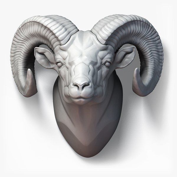 3D sheep ram animal head model - TurboSquid 1650299