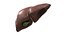 Liver 3D