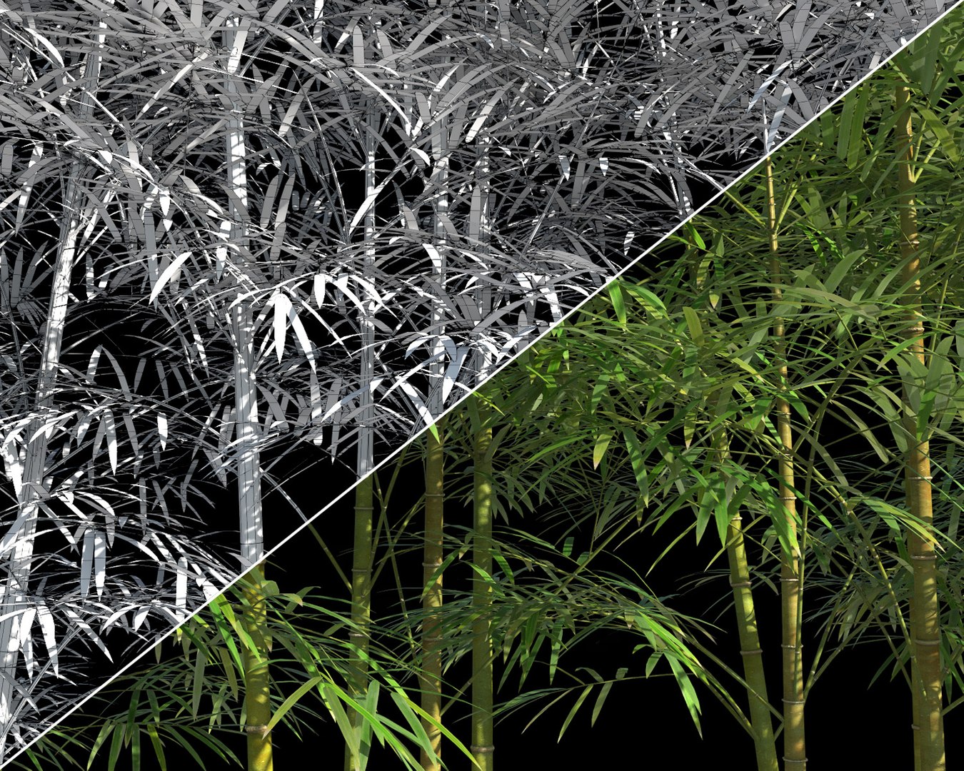 bamboo trees 4 3d max https://p.turbosquid.com/ts-thumb/rJ/spIwy2/AFkziTRK/btree_410/jpg/1490639178/1920x1080/fit_q87/e847921cccc3c72b3e6e10675c9a5d18e3e8428f/btree_410.jpg